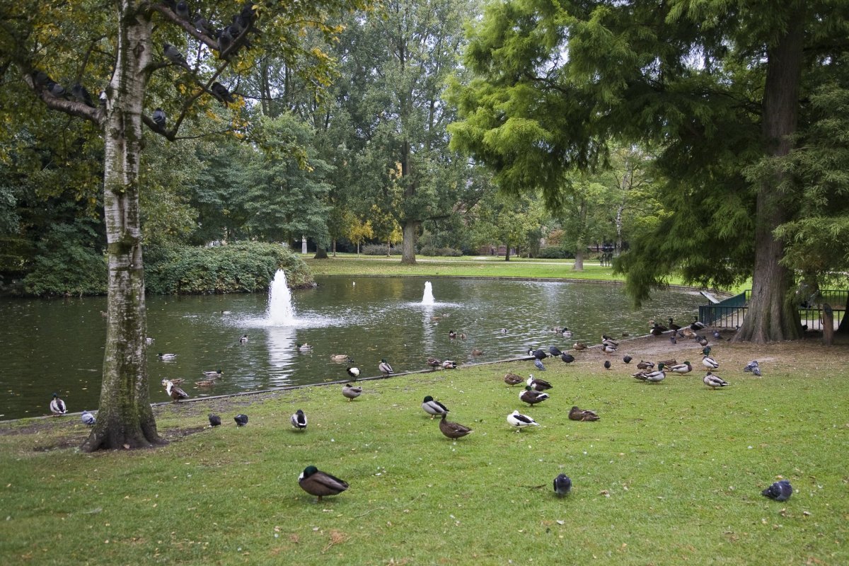 Westerpark Amsterdam venue photo