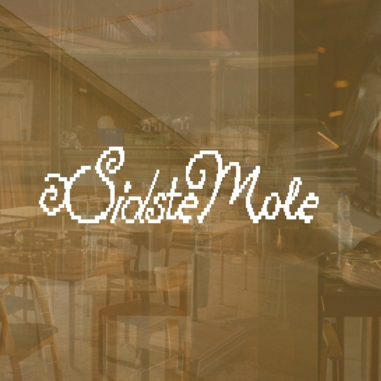 Sidste Mole venue photo