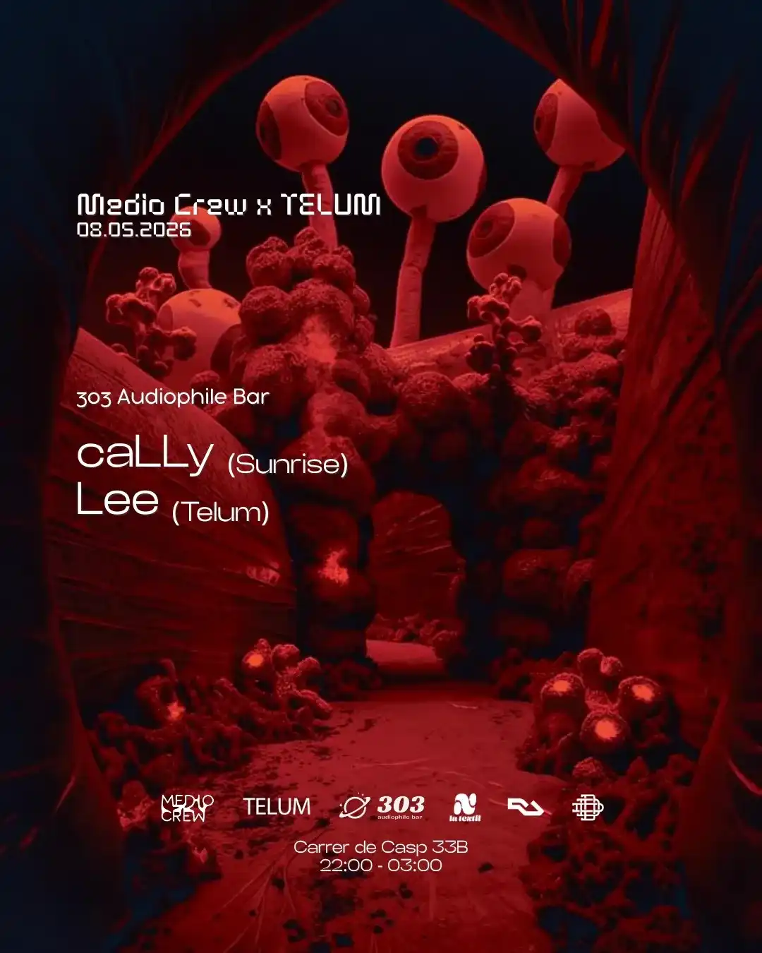 Medio Crew x TELUM pres. caLLy (Ro) at 303 event poster