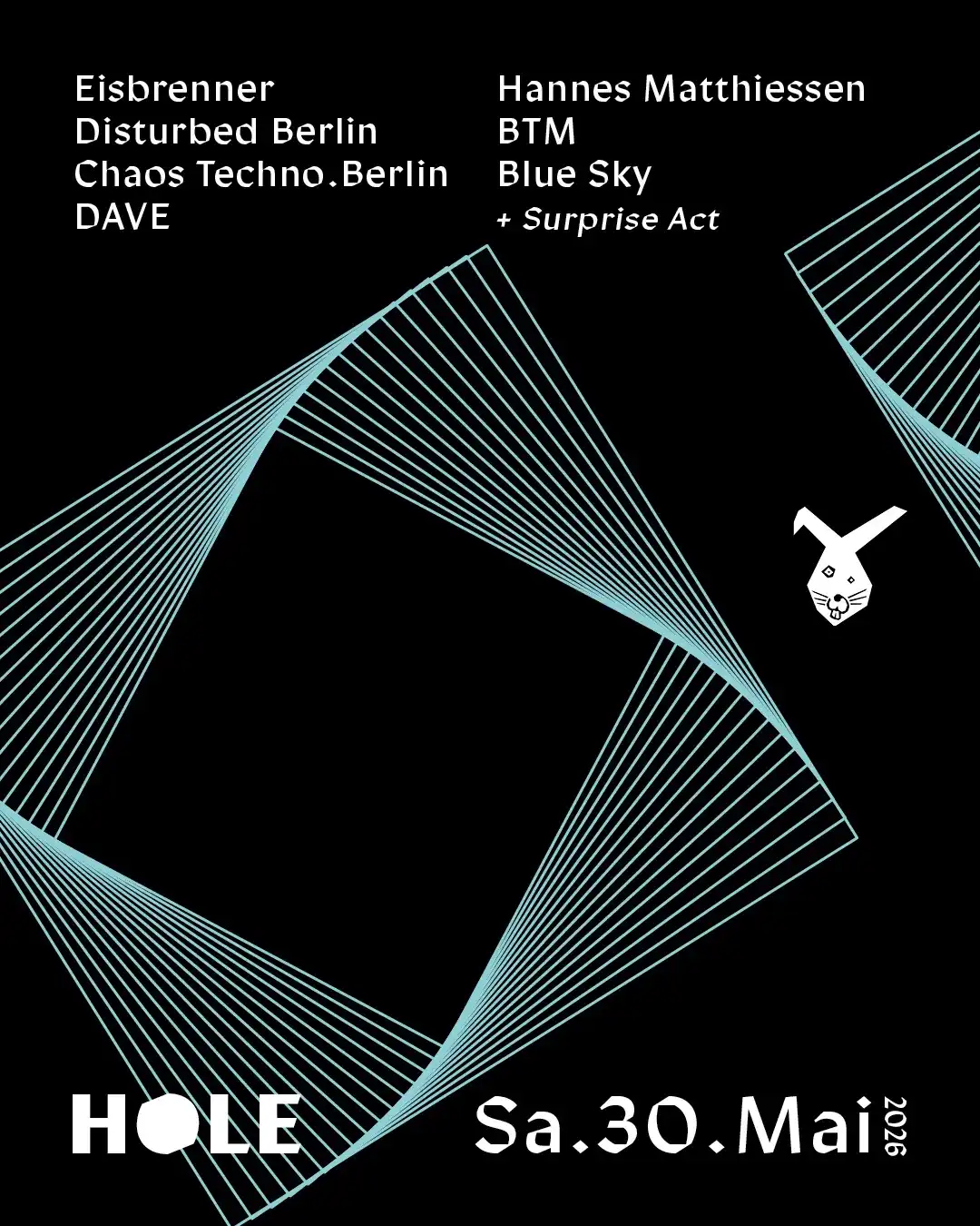 HOLE event poster