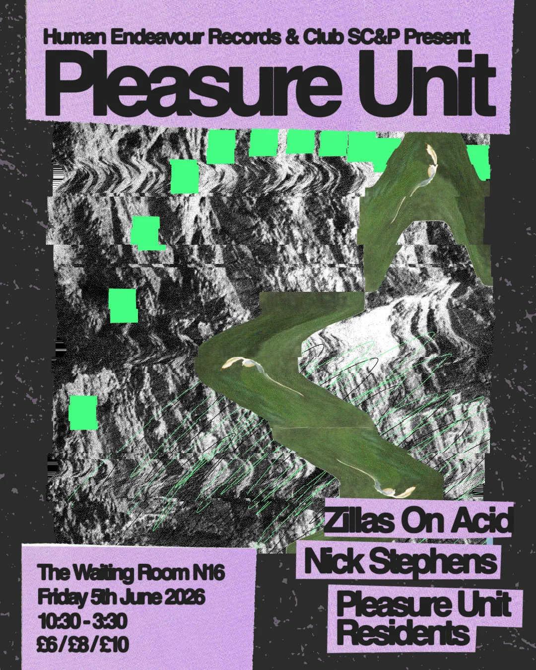 Pleasure Unit: Zillas on Acid + Nick Stephens + Residents event poster