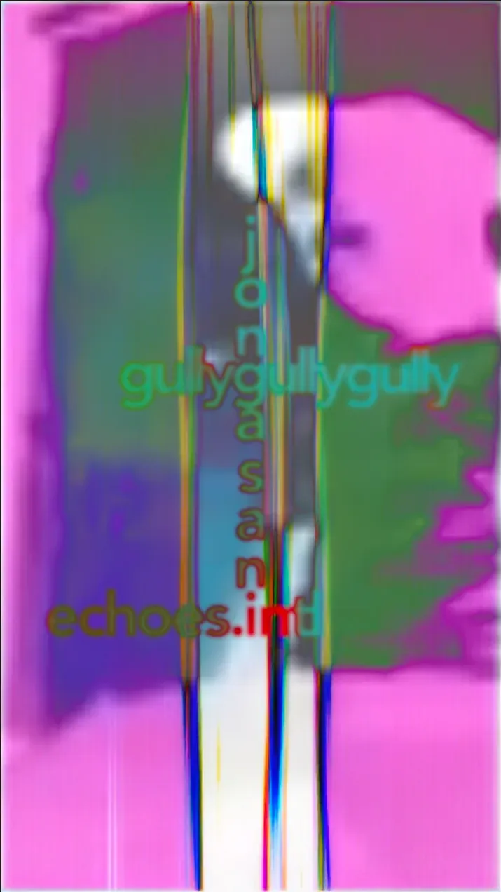 jonga⭒sani x gullygully x collectif echoes event poster