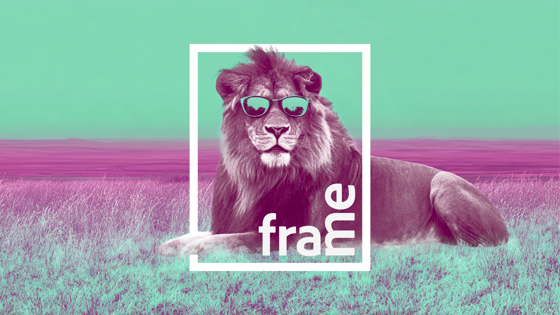 Frame Sommer Closing event poster