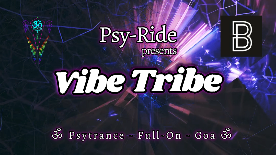 Vibe Tribe event poster
