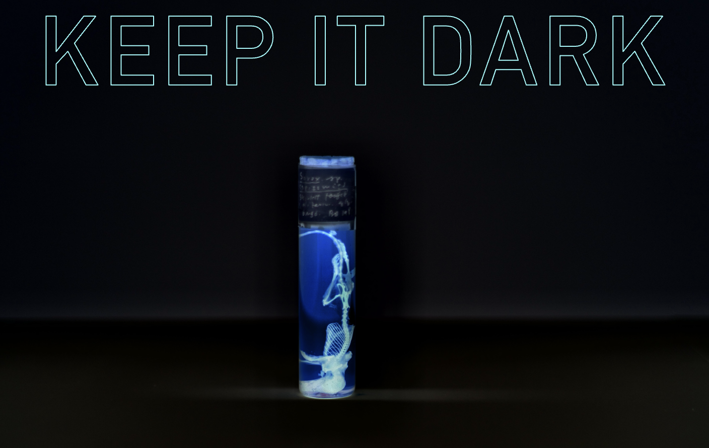 Keep it Dark event poster