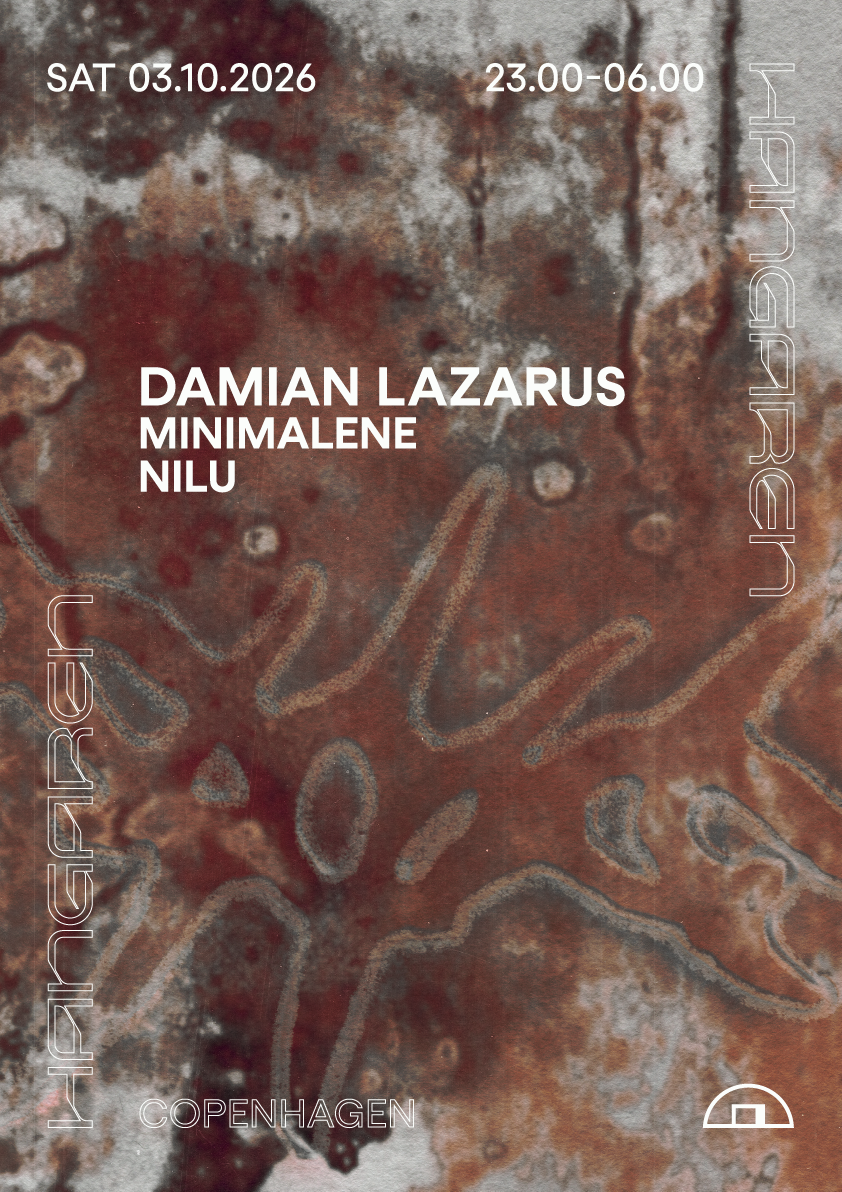 Damian Lazarus, MiniMalene, NILU event poster