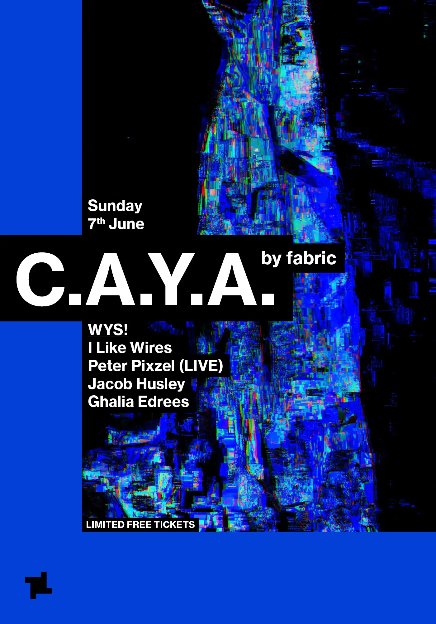 CAYA by fabric: WYS! - I Like Wires, Peter Pixzel (Live), Jacob Husley, Ghalia Edrees event poster