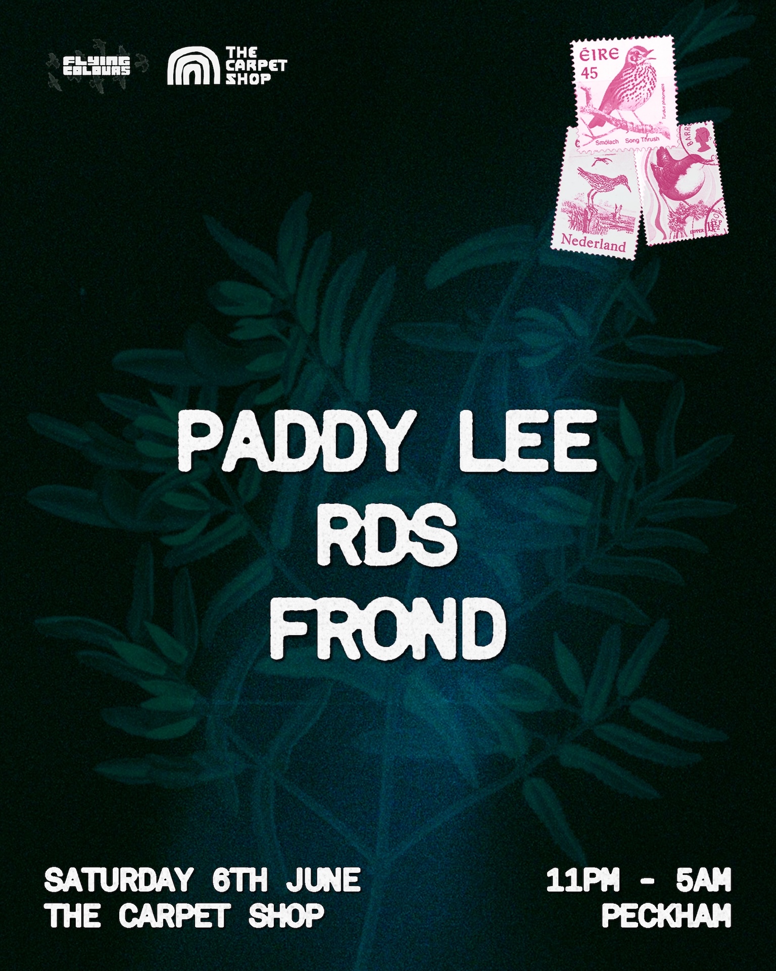 Flying Colours w/ Paddy Lee, RDS & FROND event poster