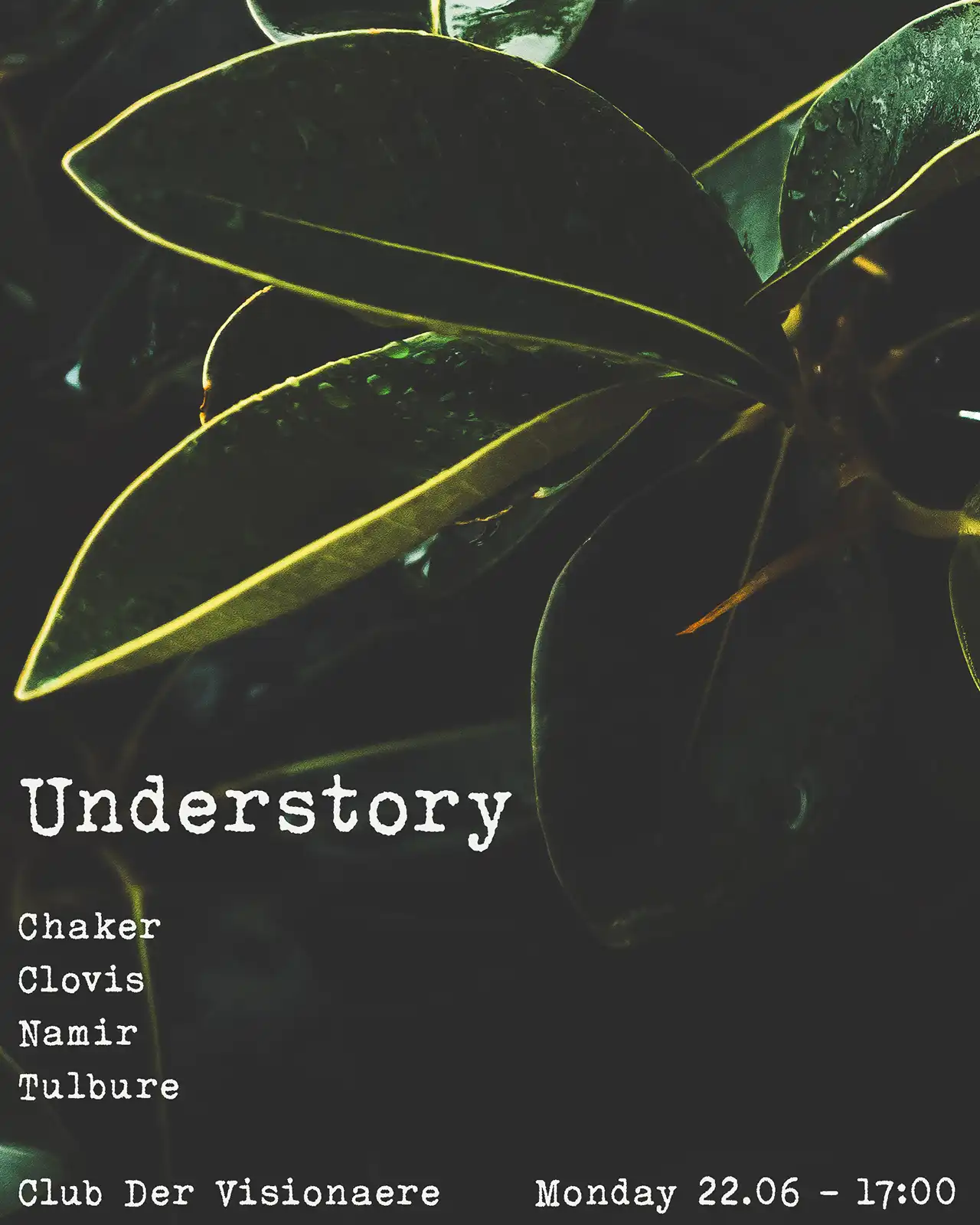 Understory: Chaker, Clovis, Namir, Tulbure event poster