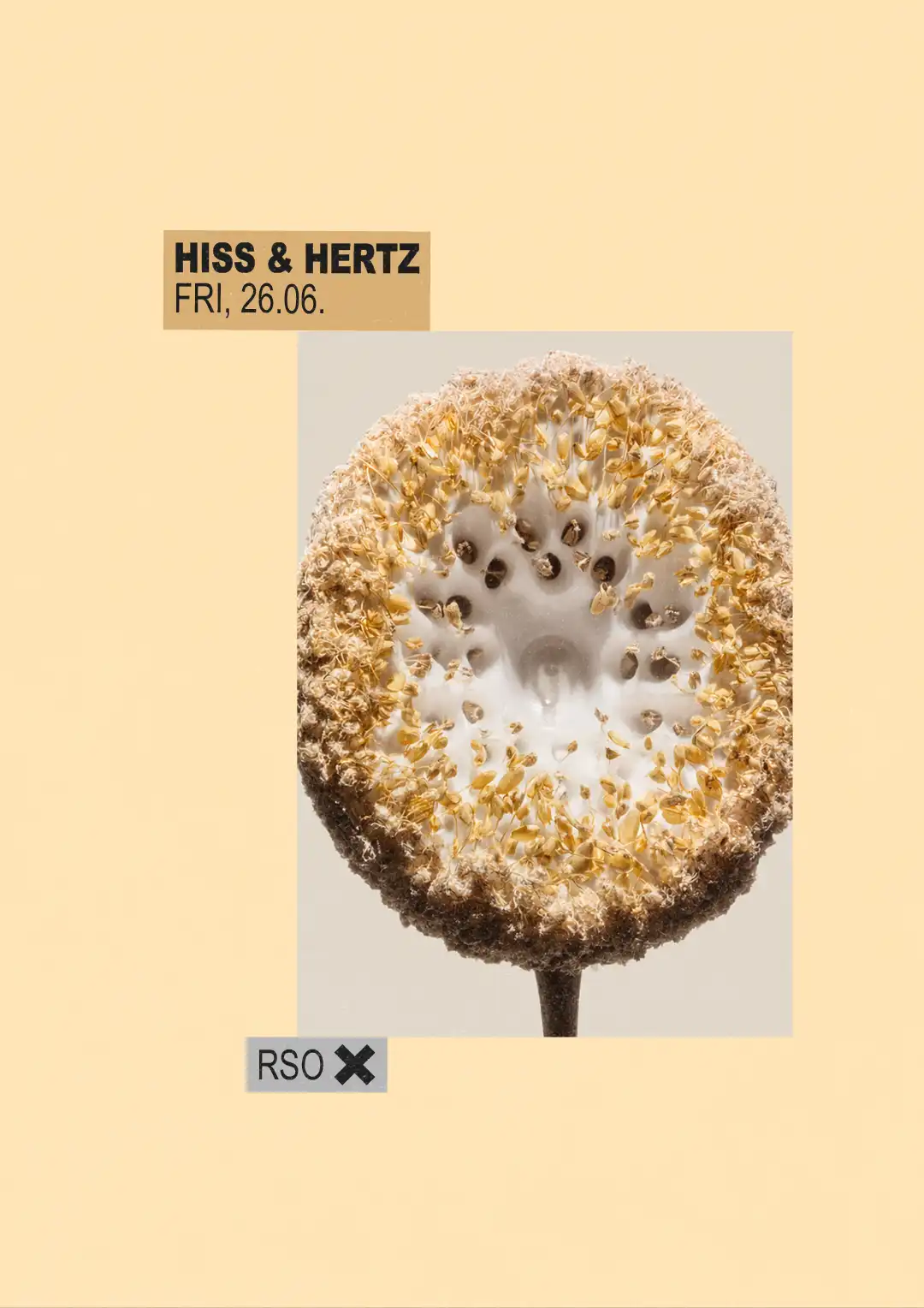 Hiss & Hertz w/ Colin Benders live, Akua, Estella Boersma & Stephanie Sykes event poster