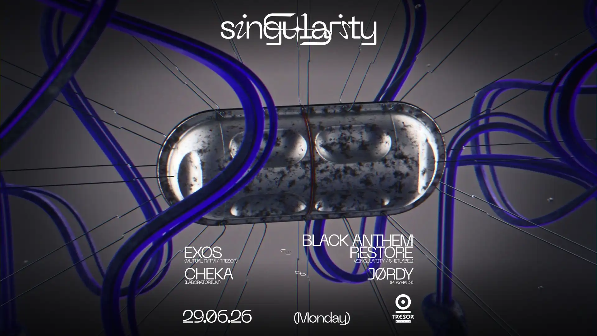 ◥◣SINGULARITY◥◣ event poster