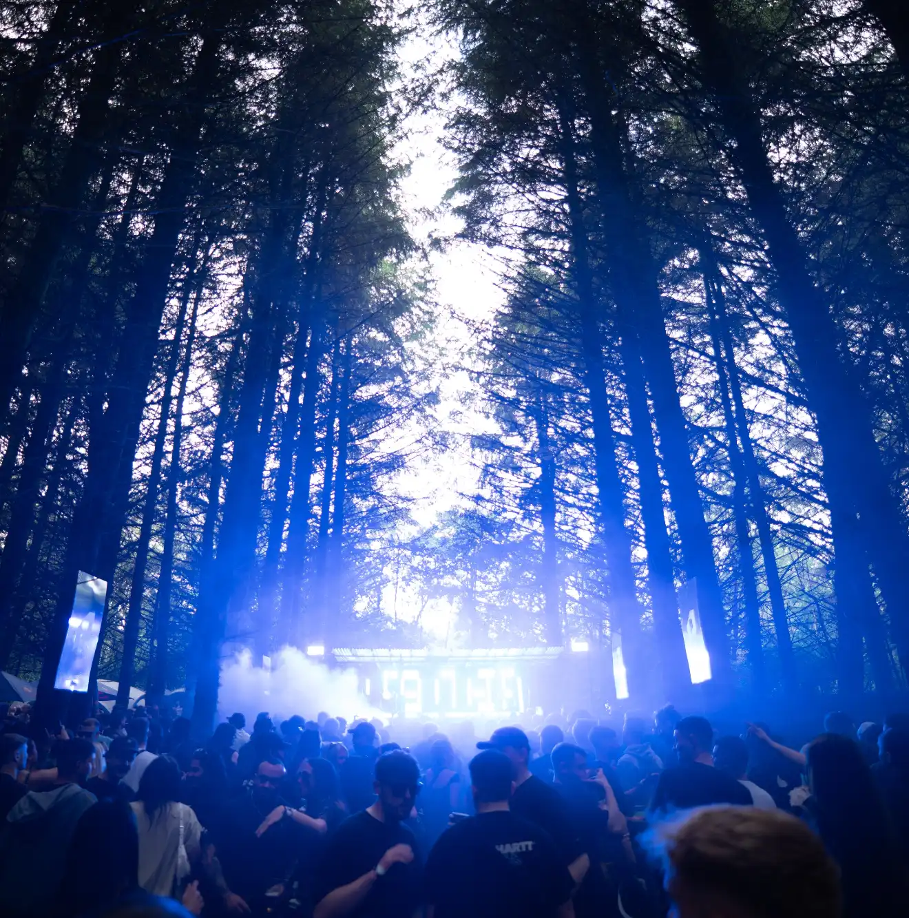 PLTFRM Forest Festival event poster