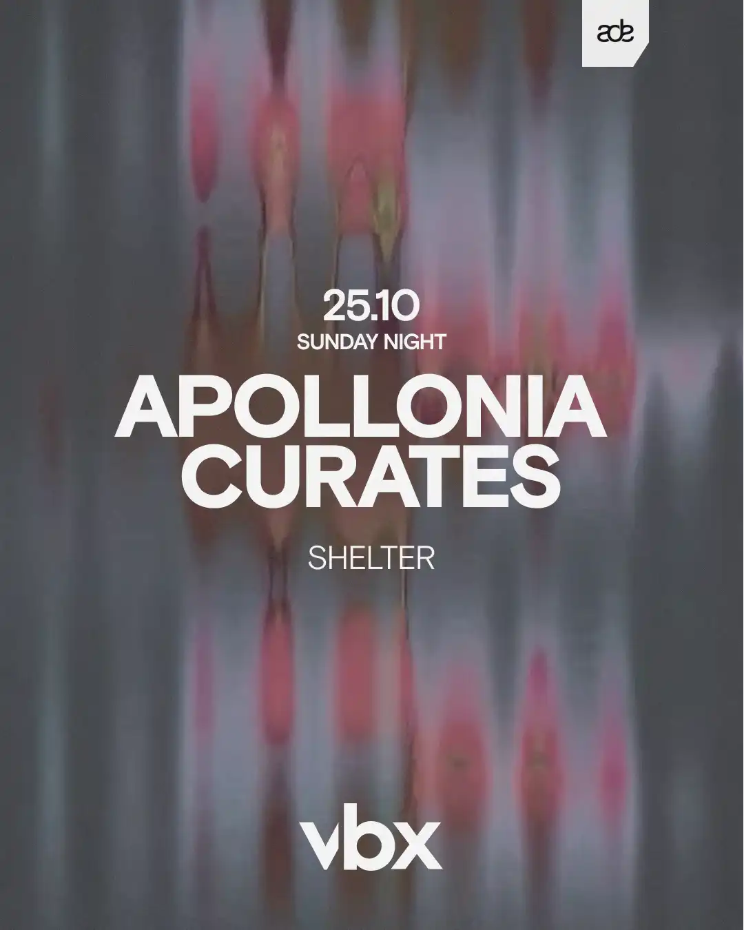 Apollonia curates VBX - Shelter - ADE 25.10 event poster